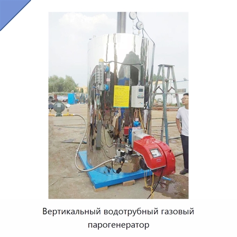 Вертикальный водотрубный газовый парогенератор