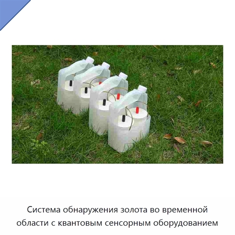 Система обнаружения золота во временной области с квантовым сенсорным оборудованием