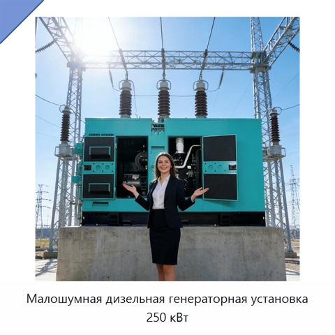 Малошумная дизельная генераторная установка 250 кВт