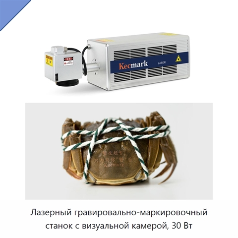 Лазерный гравировально-маркировочный станок с визуальной камерой, 30 Вт