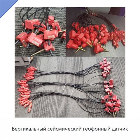 Вертикальный сейсмический геофонный датчик