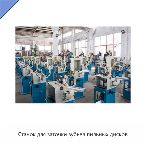 Станок для заточки зубьев пильных дисков