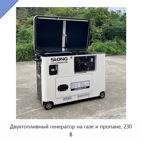 Двухтопливный генератор на газе и пропане, 230 В
