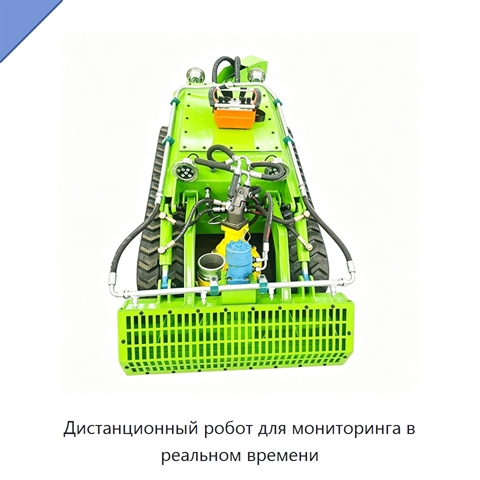 Дистанционный робот для мониторинга в реальном времени