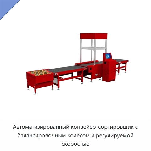 Автоматизированный конвейер-сортировщик с балансировочным колесом и регулируемой скоростью