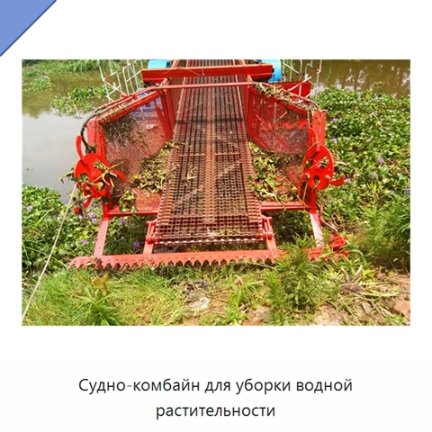 Судно-комбайн для уборки водной растительности