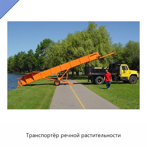Транспортёр речной растительности