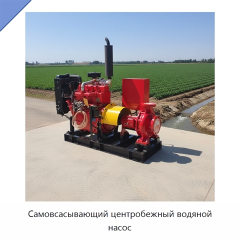 Самовсасывающий центробежный водяной насос