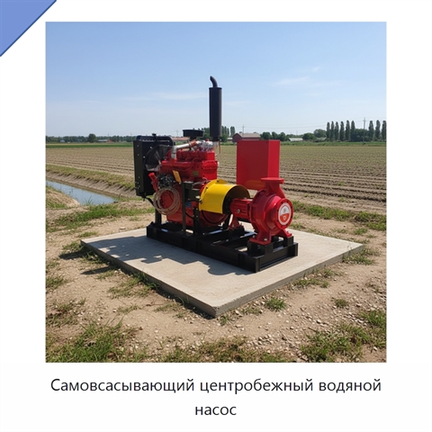 Самовсасывающий центробежный водяной насос