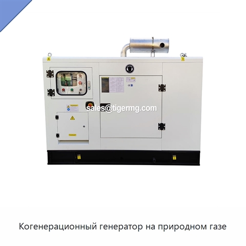 Когенерационный генератор на природном газе