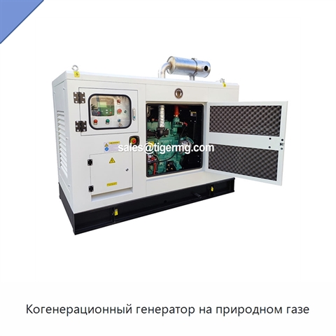 Когенерационный генератор на природном газе