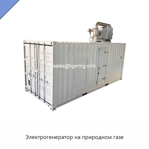 Электрогенератор на природном газе
