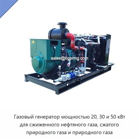 Газовый генератор мощностью 20, 30 и 50 кВт для сжиженного нефтяного газа, сжатого природного газа и природного газа