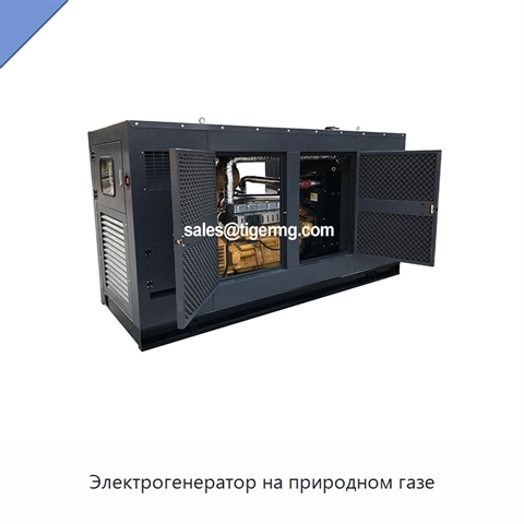 Электрогенератор на природном газе