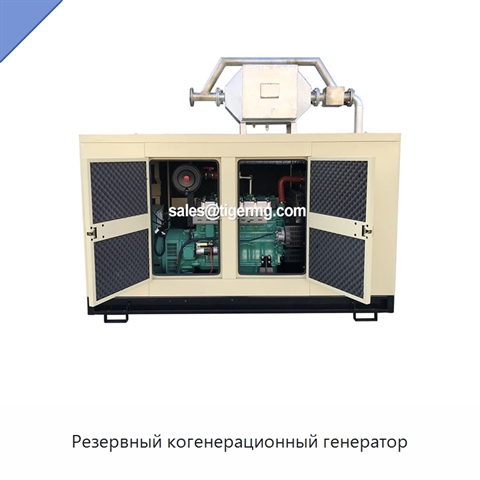 Резервный когенерационный генератор