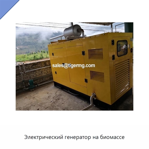 Электрический генератор на биомассе
