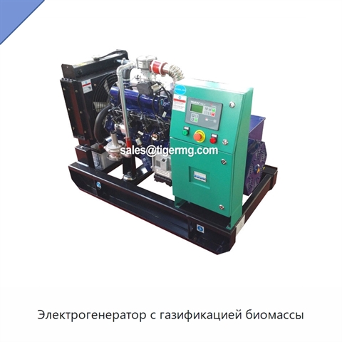 Электрогенератор с газификацией биомассы
