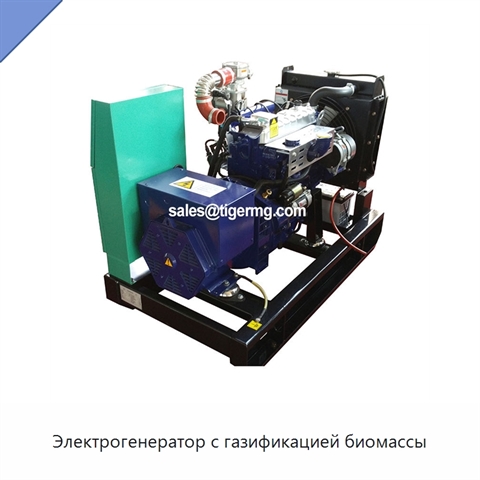 Электрогенератор с газификацией биомассы