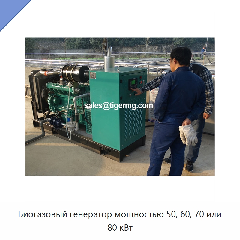 Биогазовый генератор мощностью 50, 60, 70 или 80 кВт