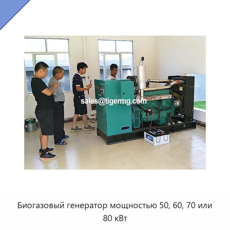 Биогазовый генератор мощностью 50, 60, 70 или 80 кВт