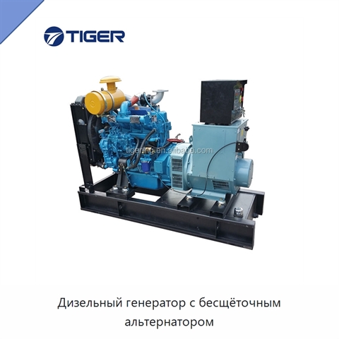 Дизельный генератор с бесщёточным альтернатором