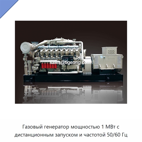 Газовый генератор мощностью 1 МВт с дистанционным запуском и частотой 50/60 Гц