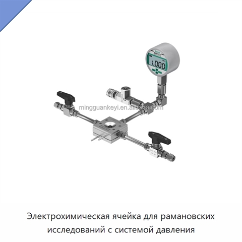 Электрохимическая ячейка для рамановских исследований с системой давления