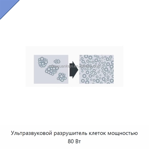 Ультразвуковой разрушитель клеток мощностью 80 Вт