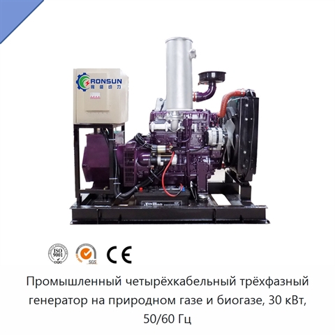 Промышленный четырёхкабельный трёхфазный генератор на природном газе и биогазе, 30 кВт, 50/60 Гц