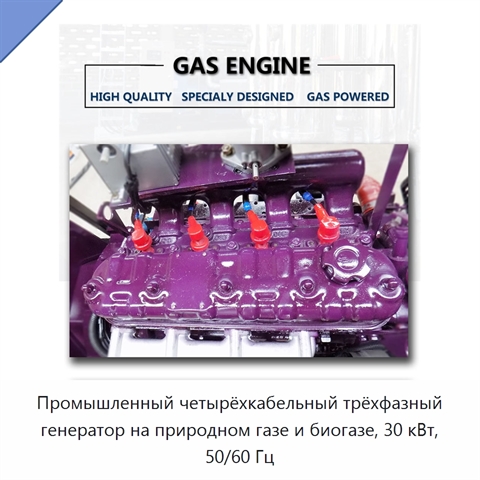 Промышленный четырёхкабельный трёхфазный генератор на природном газе и биогазе, 30 кВт, 50/60 Гц