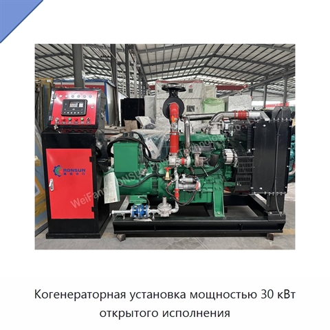 Когенераторная установка мощностью 30 кВт открытого исполнения