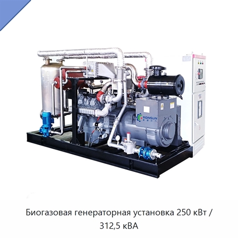 Биогазовая генераторная установка 250 кВт / 312,5 кВА
