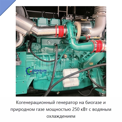 Когенерационный генератор на биогазе и природном газе мощностью 250 кВт с водяным охлаждением