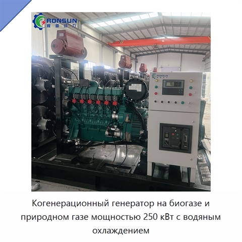 Когенерационный генератор на биогазе и природном газе мощностью 250 кВт с водяным охлаждением