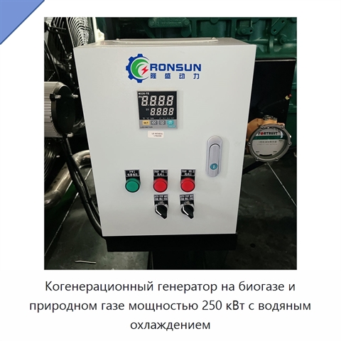 Когенерационный генератор на биогазе и природном газе мощностью 250 кВт с водяным охлаждением