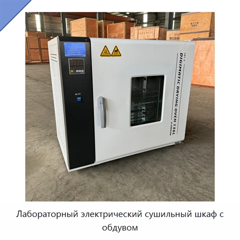 Лабораторный электрический сушильный шкаф с обдувом