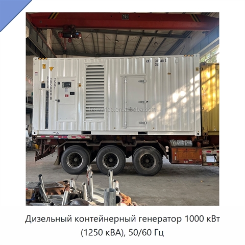 Дизельный контейнерный генератор 1000 кВт (1250 кВА), 50/60 Гц