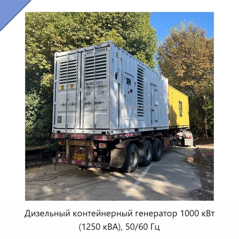 Дизельный контейнерный генератор 1000 кВт (1250 кВА), 50/60 Гц