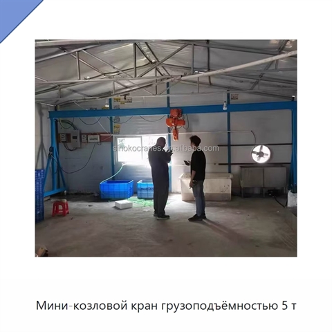Мини-козловой кран грузоподъёмностью 5 т