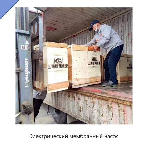 Электрический мембранный насос