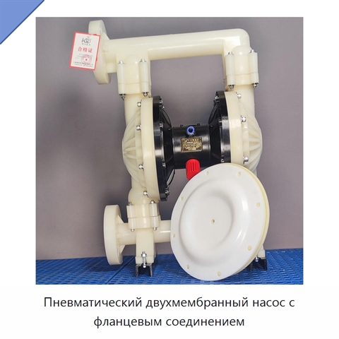 Пневматический двухмембранный насос с фланцевым соединением